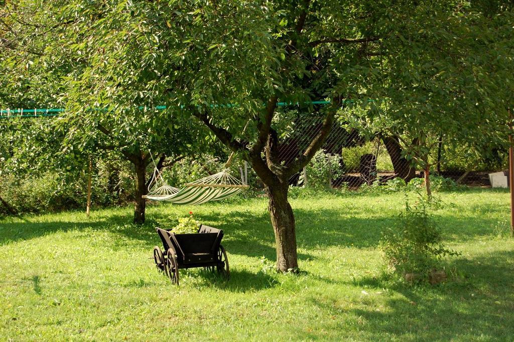 Farma U Nydrlu Villa Stara Cervena Voda Bagian luar foto