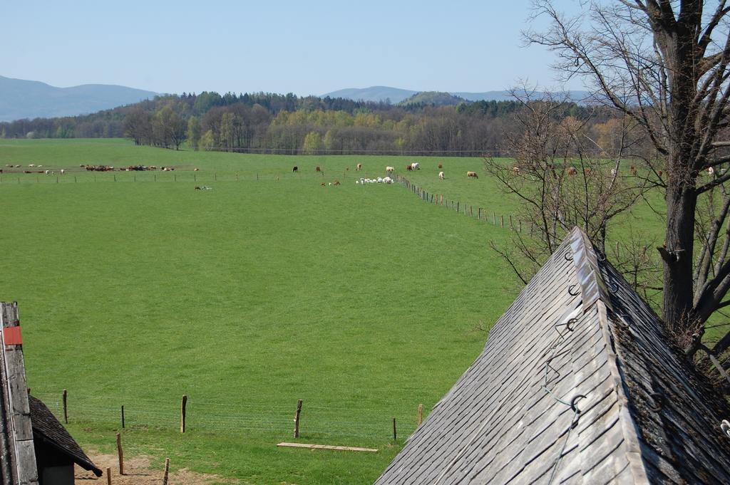 Farma U Nydrlu Villa Stara Cervena Voda Bagian luar foto