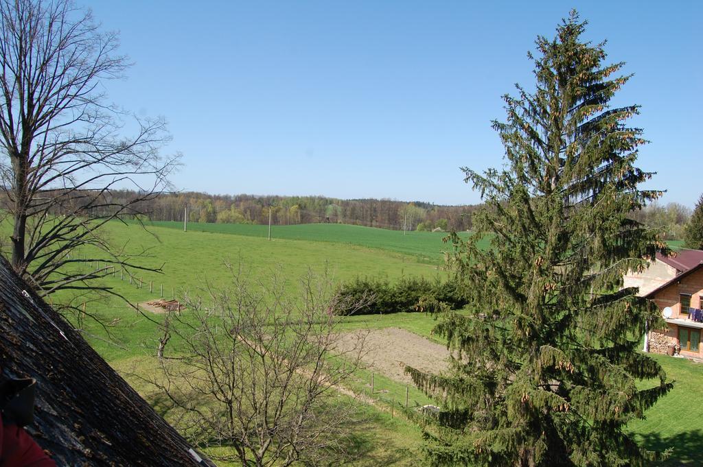Farma U Nydrlu Villa Stara Cervena Voda Bagian luar foto